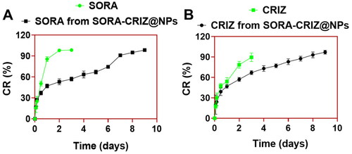 Figure 4. In vitro (A) SORA release profiles from SORA–CRIZ@NPs and (B) CRIZ release manners from SORA–CRIZ@NPs in PBS (0.5%) at pH 7.4.