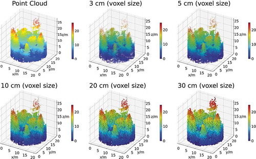 Figure 4. Illustration of the voxelization of a sample point cloud (Plot 12) using five different voxel sizes