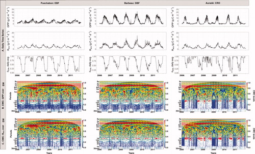 Fig. 9. Cross-wavelet coherence (CWC) analysis of GPP (B) and Reco (C) with θEW at three sites (Puechabon, Barbeau and Auradé) from 2006 to 2011. The monthly time series of variables (A) are presented together with the corresponding scalograms of CWC.