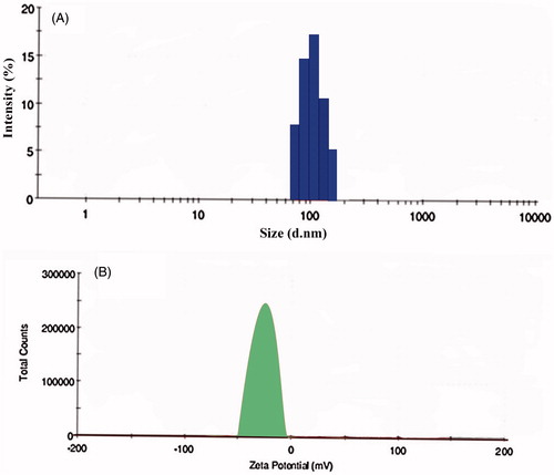 Figure 5. (A) Size distribution by the intensity of oxaliplatin solid lipid nanoparticles by DLS. (B) Zeta potential of oxaliplatin solid lipid nanoparticles by Malvern Zetasizer.