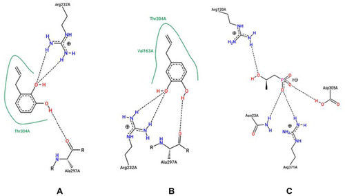 Figure 3 Interaction ligand-MurA with the ligand compound 1 (A) 2 (B) and fosfomycin (C).