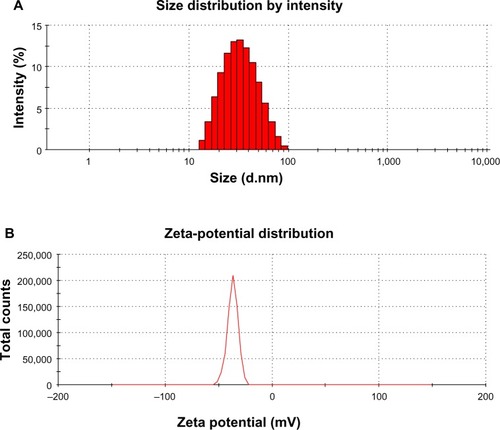 Figure 7 (A and B) Structure characteristics by DLS patterns. (A) Size distribution of AH-AgNPs; (B) zeta-potential analysis of AH-AgNPs.Abbreviations: DLS, dynamic light scattering; AH-AgNPs, Agrimoniae herba-conjugated Ag nanoparticles.