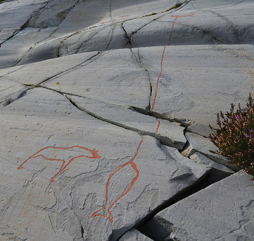 Fig. 8. Next to the halibut caught on a fishing line, stands an animal that has been interpreted as a spirit assisting the fishers. The animal is suggested to be an elk, a bear, as well as an ambiguous and meaningful fusion of the two. These figures in Hjemmeluft were painted red in the 1980s to make their whereabouts easier to detect for visitors. (Photo: K. Tansem).