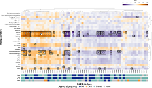 Figure 5. Functional features of the microbiome form correlation blocks with host factors, including blood pressure and fecal short chain fatty acid levels. Heatmap showing the correlations between modules significantly associated with OB measures, CHS or shared between both. Association blocks were obtained using hierarchical all-against-all association testing (HAllA) and are demarcated by black borders. Significance of individual associations are denoted by white dots (q val. <0.1), color indicates Spearman’s correlation coefficient (rho). Association blocks are sorted by high correlation and low P values, as denoted by the white numbers. Colored bands represent the association group to which each module belongs in association with each OB measure. For the annotation of each module see Table S6.