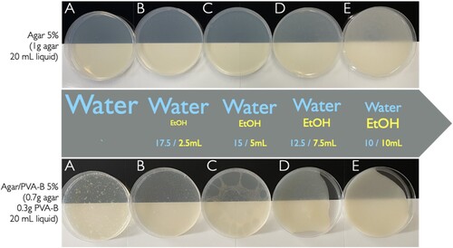 Figure 5. The effects of introducing increasing amounts of ethanol to agar and agar/PVA-B gels during the cooling phase was visualized by placing petri dishes with freshly casted gels on a black and white background. Ethanol opacified both types of gels. With pure water, agar/PVA-B gel displayed white specks that decreased (gel B) and disappeared (C, D, E) with addition of ethanol. Surface bubbles visible on gel C did not compromise the homogeneity of the bulk of the gel. Higher proportions of ethanol (D and E) caused the agar/PVA-B gels to set faster and rigidify before covering the entire surface of the petri dish.
