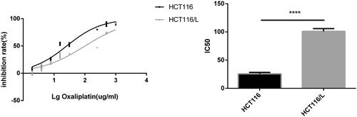 Figure 1. The inhibition ratio of oxaliplatin-resistant colorectal cancer cells HCT116/L and the parental cell line HCT116 after treated with different concentrations of oxaliplatin for 24h using the drug sensitivity assay. ****p < .0001 (Student’s t-test).