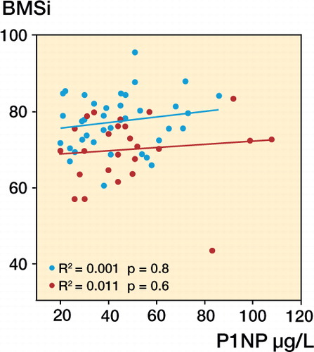 Figure 2. Lack of correlation between BMSi and P1NP in patients with stress fracture and controls without stress fracture. Red – patients with stress fracture, and blue – controls.