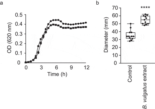 Figure 8. Impact of small molecules produced by B. vulgatus on V. cholerae motility and growth