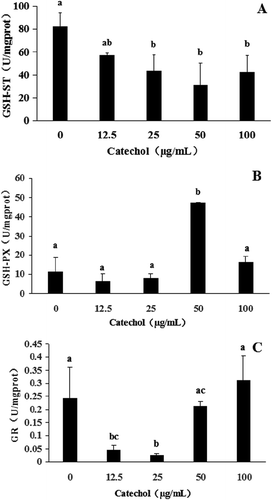 Fig. 4 The effects of different concentrations of catechol on the activities of glutathione S-transferase (GSH-ST), glutathione peroxidase (GSH-PX) and glutathione reductase (GR) in R. solani AG-1 IA. Bars represent the mean ± standard error of three replicates; data with different letters are significantly different (P < 0.05) using Duncan’s multiple range test.