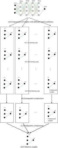 Figure 8. Simple (a), syntagmatic (b), and paradigmatic (c) compression to produce the final collective weights (d).