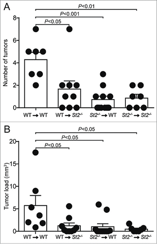 Figure 4. IL-33/ST2 signaling on both the radio-resistant and radio-sensitive compartment supports CRC development. (A) Number of tumors and (B) tumor load was analyzed in the indicated sets of chimeric mice. Data are means ± SEM and representative of one experiment; n = 7–10 samples per group. Statistical analyses were performed using one-way ANOVA with Bonferroni post-test.
