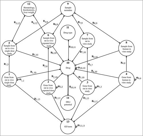 Figure 1. The fusion configuration for drug-induced liver injury prediction. Nodes represent 14 object types. Arcs denote data sets that relate objects of different types (relation matrices, Ri,j) or objects of the same type (constraints, Θi,i) for a total of 29 matrices (data sets). The bold arc (R10,14, R14,10 = RT10,14) represents relation between drugs and DILI potential that we try to augment. Fused data sets include gene annotations that are encoded in {0, 1}-matrices (R1,13, R2,13, R3,13, R4,13); expression profiles (R1,5, R2,6, R3,7, R4,8); hematology, body weight and clinical chemistry data for each rat (R5,12, R6,12, R12,5 = RT5,12, R12,6 = RT6,12); array metadata information such as dose level, dosage time and sacrifice time (R5,9, R6,9, R7,9, R8,9, R9,5 = RT5,9, R9,6 = RT6,9, R9,7 = RT7,9, R9,8 = RT8,9); drug targets (R1,10, R2,10, R3,10, R4,10); indication of medical drugs tested with samples (R5,10, R6,10, R7,10, R8,10) and structure and categorization of drugs (R10,11, R11,10 = RT10,11). Constraint matrices encode protein–protein interactions (Θ1,1, Θ2,2, Θ3,3, Θ4,4), drug interactions (Θ10,10) and the semantic structure of the Gene Ontology graph (Θ13,13).