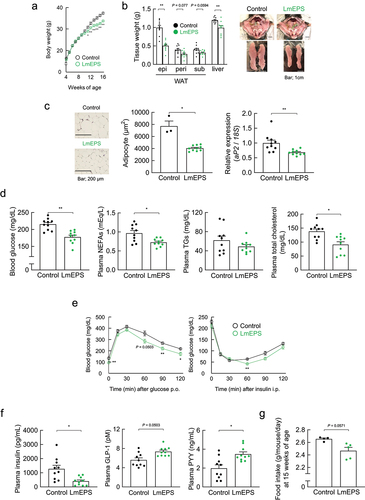 Figure 3. Leuconostoc mesenteroides-produced exopolysaccharide (LmEPS) improves metabolic condition in high-fat diet (HFD)-induced obesity. (a) Changes in body weight (n = 10 per group). (b) Changes in tissue weight and representative macroscopic appearance (n = 10 per group). Scale bar; 1 cm. epi, epididymal; peri, perirenal; sub, subcutaneous. (c) Hematoxylin and eosin–stained white adipose tissue (WAT) and the mean area of adipocytes (n = 3, 10 per group). Scale bar; 200 μm. aP2 mRNA expression in the WAT of HFD-induced obese mice (n = 10 per group). (d) Blood glucose, plasma non-esterified fatty acids (NEFAs), plasma triglycerides (TGs), and plasma total cholesterol were measured at the end of the experimental period (n = 10 per group). Oral glucose tolerance test (Left; n = 10 per group) and insulin tolerance test (Right; n = 10 per group) were performed at 13–14 weeks of age. (f) Plasma insulin (n = 10 per group), glucagon like peptide-1 (GLP-1, n = 10 per group), and peptide YY (PYY, n = 10 per group) levels were measured at 16 weeks of age. (g) The daily food intake at 15 weeks of age (n = 4, 5 per group). Mice were fed an HFD containing cellulose (control) or LmEPS. **P< .01, *P <.05 (Mann–Whitney U test). Results are presented as the mean ± standard error of the mean (SE).