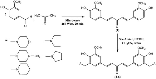 Scheme 2. Synthesis of 1,5-bis(4-hydroxy-3-methoxyphenyl)penta-1,4-dien-3-on and its aminomethyl derivatives (Mannich bases) 2–6.