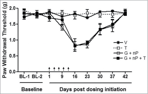 Figure 4. Effect of TH-302 (T) in combination with gemcitabine (G) and nab-paclitaxel (nP) on mechanical hyperalgesia, analyzed by von Frey Assay. T was given at 50 mg/kg, ip, G was given at 60 mg/kg ip and nP was given at 30 mg/kg, iv; all drugs were dosed at a Q3Dx5 regimen. Data represent Mean ± SEM of 10 male CD-1 mice each group. Arrow, dosing time.