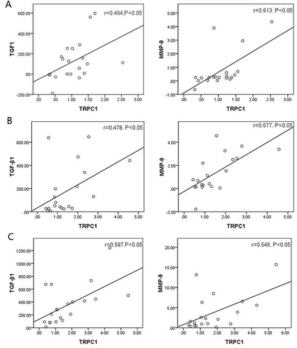 Figure 5 Correlation between TRPC1 protein levels by Western blotting and the levels of TGF-β1(×ng/L), MMP-9 (×μg/L) in ETAs in LPIP group (A), MPIP group (B), and HPIP group (C). Statistical analysis by Spearman’s rank correlation test.