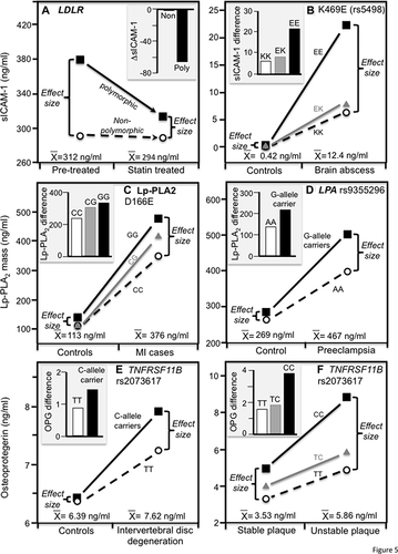 Figure 5 Precision medicine perspective of genotype-specific differences in inflammatory biomarkers (histogram inserts) vs quantile-dependent expressivity perspective (line graphs showing larger genetic effect size when average concentrations were high) for: (A) Bolewski et al 2008 report on three-month atorvastatin-induced changes in sICAM-1 concentrations in 8 patients with mutations in the low-density lipoprotein receptor (LDLR) gene vs 26 un-mutated patients;.Citation58 (B) Mishra et al 2016 report on differences in serum sICAM-1 concentrations between 100 brain abscess patients and 100 controls by ICAM-1 K469E (rs5498) genotypes;Citation60 (C) Zhang et al 2019 report on differences in serum Lp-PLA2 mass concentrations between 297 myocardial infarction (MI) patients and 262 healthy controls by Lp-PLA2 D166E genotypes; Citation51 (D) Tuten et al 2021 report on differences in serum Lp-PLA2 mass concentrations between 149 women with preeclampsia and 49 with normal pregnancies by LPA rs9355296 genotypes; Citation61 (E) Xue et al 2016 report on differences in serum osteoprotegerin concentrations between intervertebral disc degeneration patients and matched controls by TNFRSF11B 950T/C (rs2073617) genotypes;Citation52 and (F) Straface et al 2011 report on differences in serum osteoprotegerin concentrations between 74 internal carotid artery stenosis patients with unstable plaques and 95 with stable plaque by TNFRSF11B 950T/C (rs2073617) genotypes. Citation53