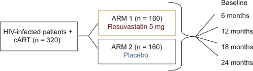 Figure 1 Protocol design for C-IMT assessment and hs-CRP measurement.