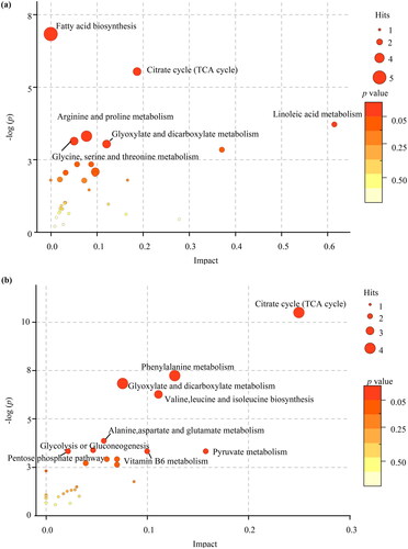 Figure 7. Metabolite set enrichment analysis. (a) The pathways in maternal serum. (b) The pathways in in umbilical cord serum.The statistically significant pathways were marked with names.