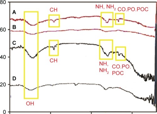 Figure 5 Fourier-transform infrared spectrum of (A) FA-bacteria, (B) FA, (C) NAMC-bacteria and (D) NAMC.Abbreviations: FA, flat alumina; NAMC, nanoporous alumina-multiwalled carbon nanotubes.