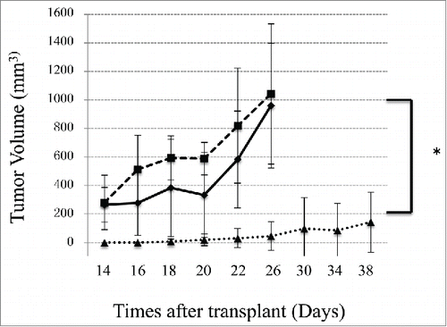 Figure 4. The BiSS antibody inhibits cancer growth in vivo. NOD/SCID mice (n = 5/group) were engrafted subcutaneously with LS174T cells with or without human PBMCs as described in the Methods and Materials. Three groups of mice were then treated. Two control groups, mice transplanted with LS174T only, no PBMC (solid square), or mice transplanted with both LS174T and PBMC (open triangle) were treated with PBS only. One group of mice transplanted with both LS174T and PBMC were treated with BiSS (20 μg per mouse daily) (solid diamond). The data represent the average cancer volume of 5 mice with the error bars representing the standard deviation (*P < 0.01, t test, BiSS vs the other 2 groups).