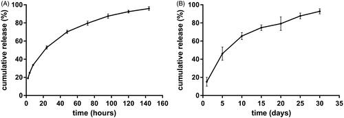 Figure 3. The release profiles of etoposide-loaded implants. (A) The in vitro cumulative release profiles of etoposide from the implants. Data are shown as mean ± standard deviation (n = 6 for each time). (B) The in vivo cumulative release profiles of etoposide from the implants. Data are shown as mean ± standard deviation (n = 6 for each time).