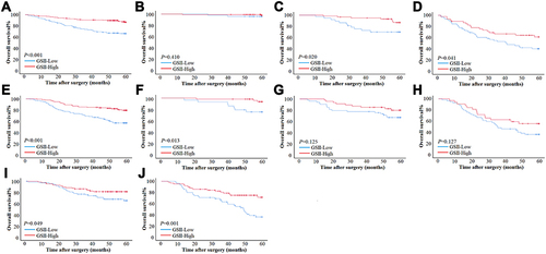 Figure 3 Survival curve subgroup analyses of patients. (A–D) Survival curves of patients with ≤60 based on GSII in total stage, stage I, stage II and stage III in training cohort. (E–H) Survival curves of patients with >60 based on GSII in total stage, stage I, stage II and stage III in validation cohort. (I and J) Survival curves of patients with ≤60 and >60 based on GSII in overall patients in validation cohort.