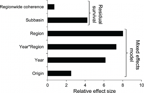 FIGURE 10. Relative effect sizes of multiple factors contributing to smolt survival of Coho Salmon in the Salish Sea. The effect size was calculated from the best regional mixed-effects model and subsequent analysis of residual survival.