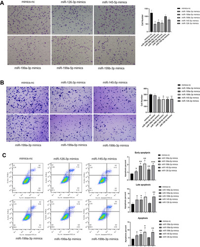 Figure 5 Effects of miR-199a-3p, miR-199b-3p, miR-199a-5p, miR-145-5p and miR-126-3p on invasive, adhesive and apoptosis abilities of ovarian cancer cells. (A–C) The results of transwell invasion assay (A), adherent assay (B) and apoptosis assay (C) results showing the changes in the invasive, adherent and apoptosis abilities of 3D-cultured HEY cells after overexpressing miR-199a-3p, miR-199b-3p, miR-199a-5p, miR-145-5p and miR-126-3p respectively compared with the negative control. (*p<0.05; **p<0.01; ***p<0.001). (A) The invasion abilities of the 3D-cultured HEY cells were reduced after overexpressing miR-199a-3p (p=0.0398), miR-199a-5p (p=0.0486) and miR-199b-3p (p=0.0409), respectively. (B) The adherent abilities of the 3D-cultured HEY cells were weakened after overexpressing miR-199a-5p (p=0.0010), miR-199b-3p (p=0.0171), miR-145-5p (p<0.0010) and miR-126-3p (p=0.0028). (C) Early apoptosis was increased in the 3D-cultured HEY cells after overexpressing miR-199a-3p (p=0.0202), miR-199a-5p (p=0.0030), miR-199b-3p (p=0.0045), miR-145-5p (p=0.0029) and miR-126-3p (p<0.0010); late apoptosis was increased in the 3D-cultured HEY cells after overexpressing miR-199a-3p (p=0.0164), miR-199a-5p (p=0.0212) and miR-126-3p (p=0.0065); total apoptosis was increased in the 3D-cultured HEY cells after overexpressing miR-199a-3p (p=0.0124), miR-199a-5p (p=0.0077), miR-199b-3p (p=0.0323) and miR-126-3p (p=0.0036).