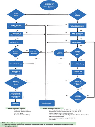 Figure 3 SCI-High Urinary Tract Infection management and treatment diagram.