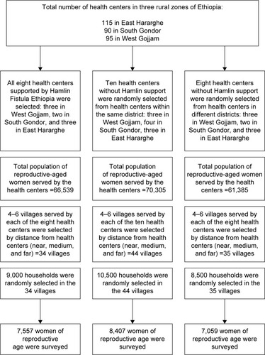 Figure 1 Sampling process.