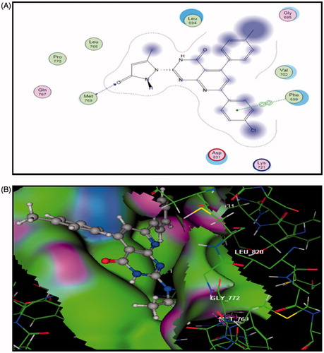 Figure 4. The proposed binding mode of compound 5a docked in the active site of EGFR. A and B showing 2D and 3D ligand-receptor interactions (hydrogen bonds are illustrated as arrows; C atoms are colored gray, N blue, and O red).