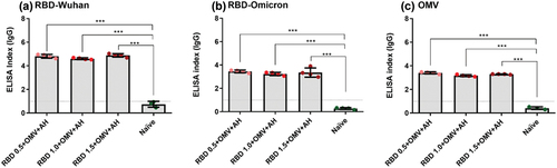 Figure 7. The offspring of immunized mothers had IgG that recognized (a) RBD-Wuhan, (b) RBD-Omicron, and (c) N. meningitidis C:2a:P1.5 OMVs. The dotted line shows the cutoff value.