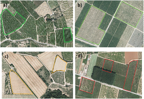 Figure 4. Categories of plots classified according to the type of land cover.Where: a) in production with large trees, b) in production with small trees, c) Not in production, d) Abandoned land.