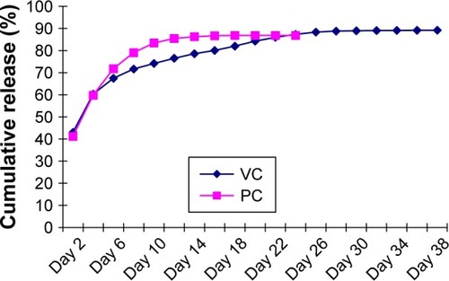 Figure 2 Cumulative release percentage of vancomycin.Abbreviations: VC, vancomycin-loaded bone-like hydroxyapatite/poly amino acid group; PC, vancomycin-loaded polymethyl methacrylate group.
