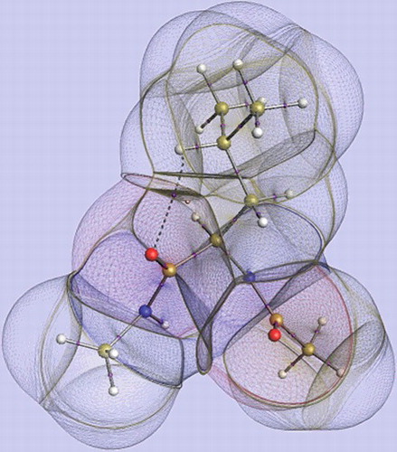 Figure 1. A representation of the topological atoms in Leucine, which is capped both at the N-terminus and the C-terminus by a peptide bond. The nuclear configuration is taken from a (Leu)5 conformer geometry-optimised at HF/6–31+G(d,p) level of theory.