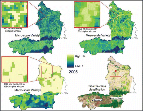 Figure 7. Spatial distribution of LULC variety in 2005, shown for the three different scales of analysis and in comparison to the initial classification. Each inset, centered on the same riparian area, shows a spatial extent representing roughly 10 times the moving window size used for each scale, to show that the apparent differences are not simply a result of spatial zoom. At the micro-scale, patterns appear more random, whereas those at the macro-scale appear more uniform.