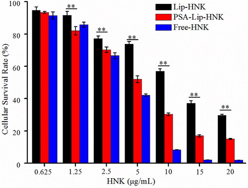 Figure 3. In vitro cytotoxicity against 4T1 cells of various HNK formulations after 48-h incubation by SRB assay. Each bar represents mean ± SD (n = 5). ** indicate statistically different p < .01.