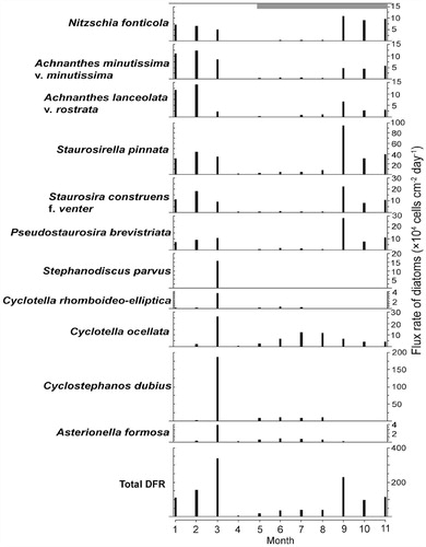 FIGURE 8. Seasonal distribution of the most abundant diatom taxa collected monthly (2011) in the sediment trap.