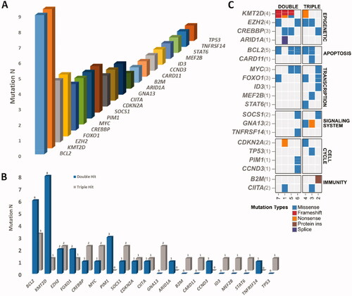 Figure 1. High grade B-cell lymphoma mutational landscape. (A) Gene mutation number (N) observed sequencing 54 genes in 7 patients with high-grade B-cell lymphoma. (B) Frequency of detected gene mutations in two different high-grade B-cell lymphoma subtypes: Double Hit (blue) and Triple Hit (grey). (C) Heat-map of 7 patients detected mutations across Double Hit (DH) and Triple Hit (TH) subtypes.