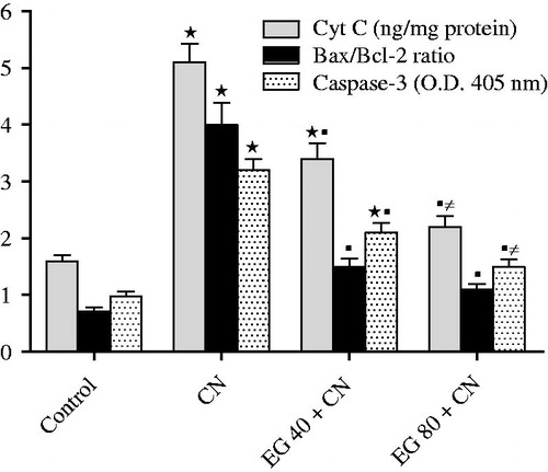Figure 2. Effects of epigallocatechin-3-gallate (EG) on cytosolic cytochrome C (Cyt C), Bax/Bcl-2 ratio, and caspase-3 in rats exposed to cisplatin (CN) testicular injury. Results are mean ± S.E.M., *p < 0.05 vs. control group, ▪p < 0.05 vs. CN group, ≠p < 0.05 vs. epigallocatechin-3-gallate 40 mg/kg (EG 40) + CN group.