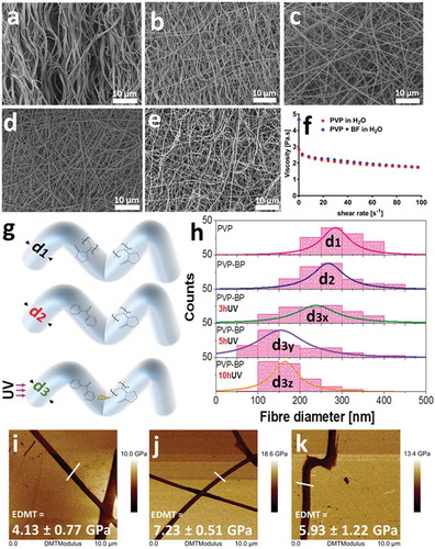 Figure 1. SEM micrographs of: PVP based fibre mat without (a) and with 2% w/w BP after 0 (b), 3 (c), 5 (d) and 10 h (e) of UV exposure. Viscosity as a function of shear rate of the 17% PVP solution in comparison to 17% w/w PVP solution with encapsulated (but not under any UV exposure) 2% w/w BP (f). Histograms of PVP fibre diameters; control PVP, 2% w/w BP, 2% w/w BP after 3, 5 and 10 h of UV exposure (g, h). Diameters were extracted from at least 200 fibres measured individually from a series of randomly chosen SEM images using ImageJ software. PF-QNM AFM DMT Modulus images of individual PVP fibres (i) control (j), 2% w/w BP after 3 h and (k), 5 h of UV exposure. The average values presented in the graph (± SD) are taken over the selection of all points along at least three fibres (n = 3) and referenced to the value of Si substrate, here taken as 0.