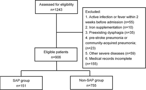 Figure 1 Flow chart of the study.