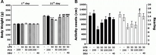 Figure 2.  Effects of PCE on body weight gain on the first day prior to LPS injection and on the 21th day after LPS injection, and the activity counts of locomotor activity and the total numbers of rearings in the open field test on the 21th day. PCE, Phellodendri Cortex extract; LPS, lipopolysaccharide; IBU, ibuprofen. * p<0.01, *** p<0.001 vs. CON group; # p<0.05 and ## p<0.01, ### p<0.001 vs. LPS group.