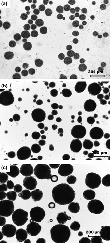 Figure 1 Micrographs of the (a) MOP, (b) MBP, and (c) CBP MPs.