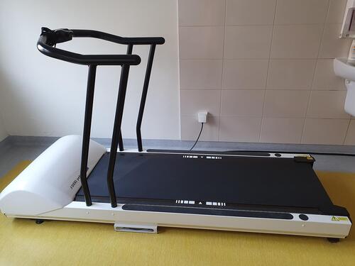 Figure 3 Treadmill for examining – Diers pedogait.