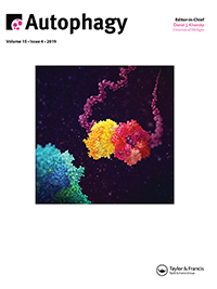 Cover image for Autophagy, Volume 15, Issue 4, 2019