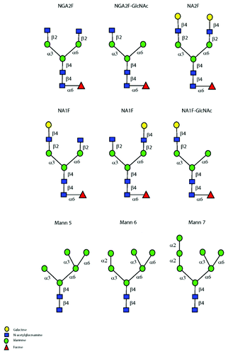 Figure 1. Fc glycans observed on antibodies. Symbol nomenclature was adopted from the Consortium for Functional Glycomics. The nomenclature used for complex and oligomannose species are NA1F (Gal-1, G1), NA2F (Gal-2, G2), NGA2F (Gal-0, G0), Mann-5, Mann-6, Mann-7 (M5, M6, M7 or Oligomannose-5,6,7).