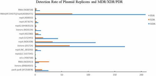 Figure 5. Detection Rate of Plasmid Replicons and MDR/XDR/PDR.