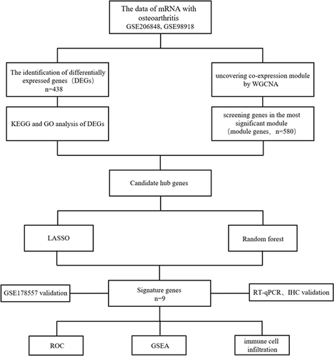 Figure 1 Designing of this research.